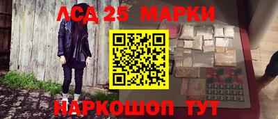 гидропоника Кингисепп