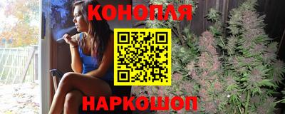 гидропоника Кингисепп
