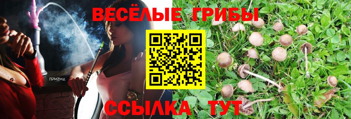 Красноуфимск  Псилоцибиновые грибы MAGIC MUSHROOMS  купить  цена  Вход с VPN 