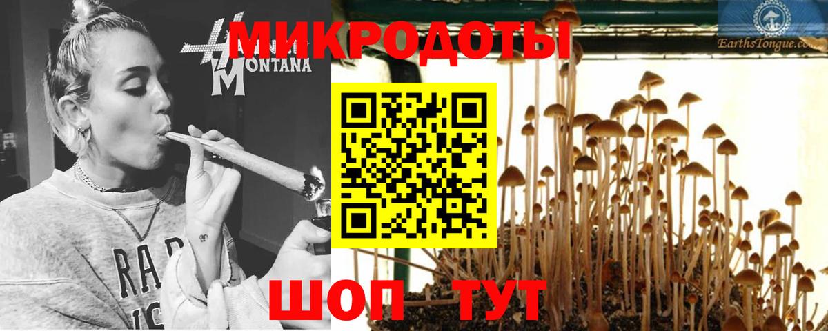Псилоцибиновые грибы MAGIC MUSHROOMS Красноуфимск